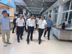 实施监视查核制